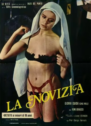 Poster of The Novice