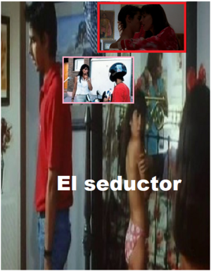Poster of The Seducer
