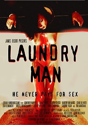 Poster of Laundry Man