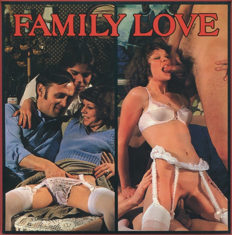 Poster of Diplomat Film 1028 – Family Love