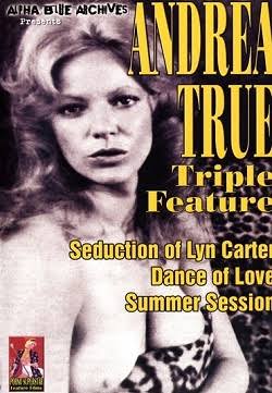 Poster of The Seduction of Lyn Carter