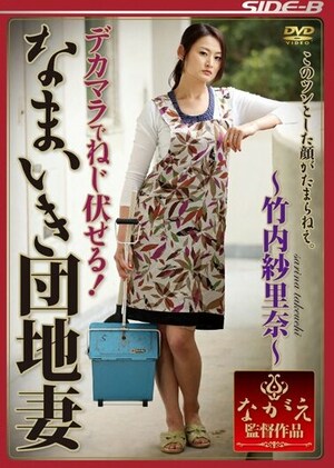 Poster of [NSPS-208] Sarina Takeuchi