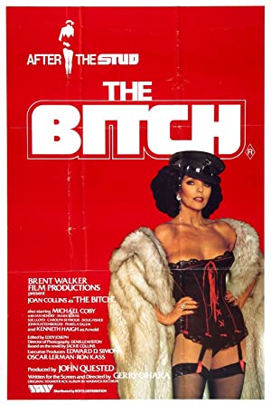 Poster of The Bitch