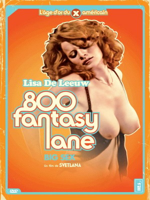 Poster of 800 Fantasy Lane