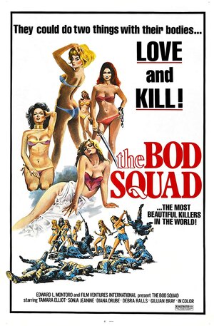Poster of The Bod Squad