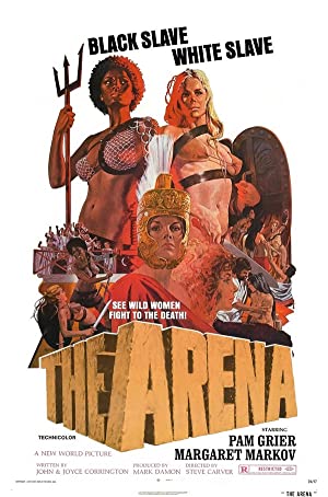 Poster of The Arena